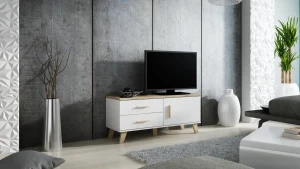 Тумба RTV LOTTA 120 1D2S CAMA білий/дуб сонома